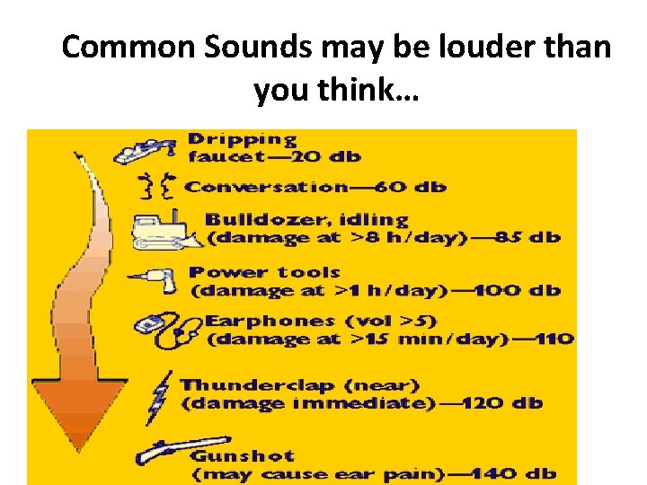 Common Sounds may be louder than you think… 