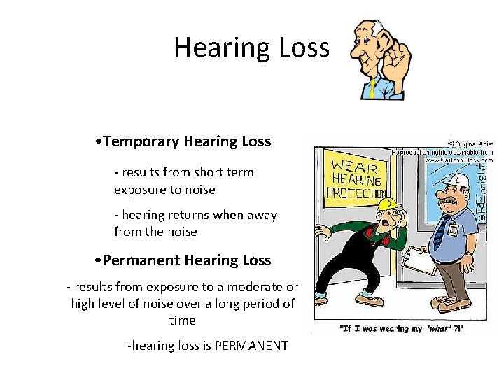 Hearing Loss • Temporary Hearing Loss - results from short term exposure to noise