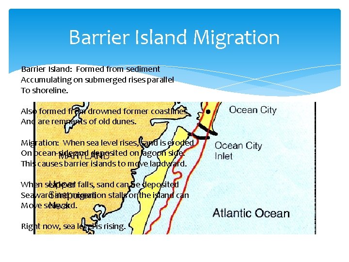 Barrier Island Migration Barrier Island: Formed from sediment Accumulating on submerged rises parallel To