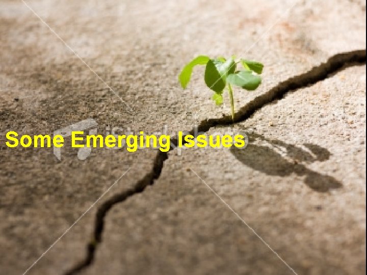 Some Emerging Issues © 2013 The MITRE Corporation. All Rights Reserved. 