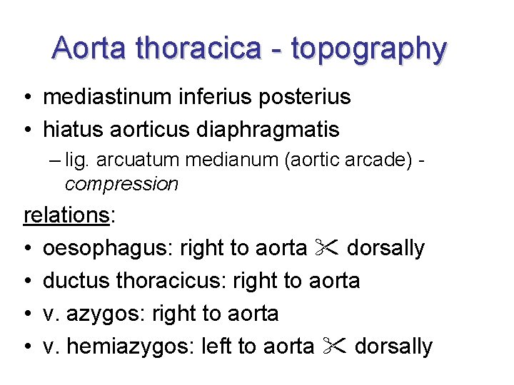 Aorta thoracica - topography • mediastinum inferius posterius • hiatus aorticus diaphragmatis – lig.