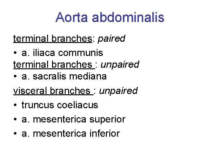 Aorta abdominalis terminal branches: paired • a. iliaca communis terminal branches : unpaired •