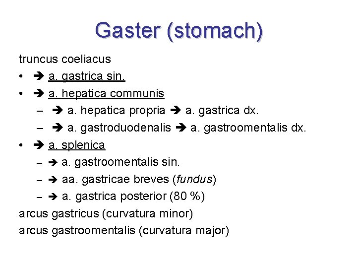 Gaster (stomach) truncus coeliacus • a. gastrica sin. • a. hepatica communis – a.