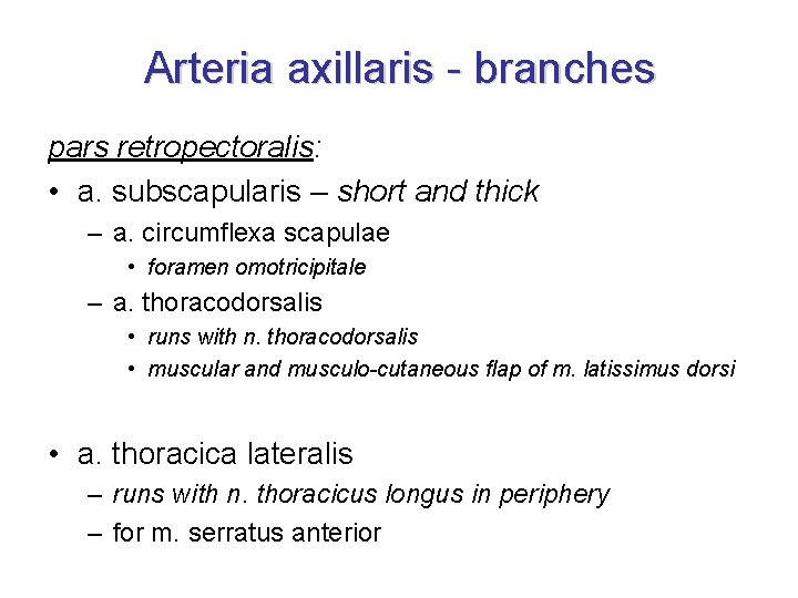Arteria axillaris - branches pars retropectoralis: • a. subscapularis – short and thick –
