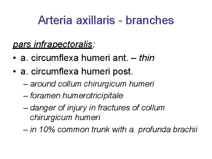Arteria axillaris - branches pars infrapectoralis: • a. circumflexa humeri ant. – thin •