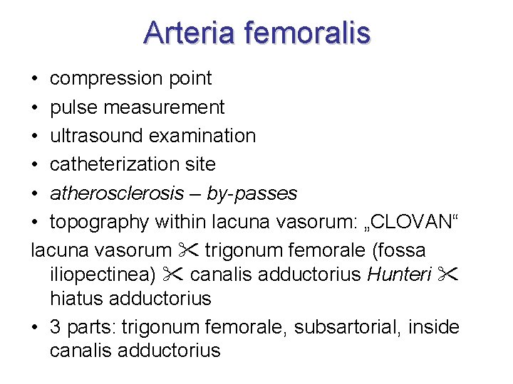 Arteria femoralis • compression point • pulse measurement • ultrasound examination • catheterization site