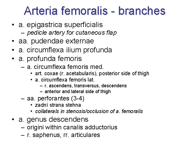 Arteria femoralis - branches • a. epigastrica superficialis – pedicle artery for cutaneous flap