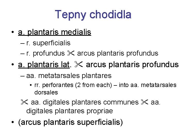 Tepny chodidla • a. plantaris medialis – r. superficialis – r. profundus arcus plantaris