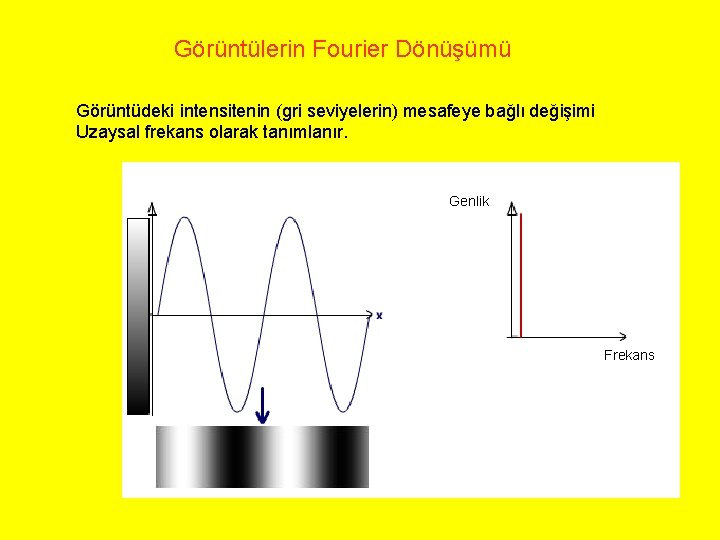 Görüntülerin Fourier Dönüşümü Görüntüdeki intensitenin (gri seviyelerin) mesafeye bağlı değişimi Uzaysal frekans olarak tanımlanır.