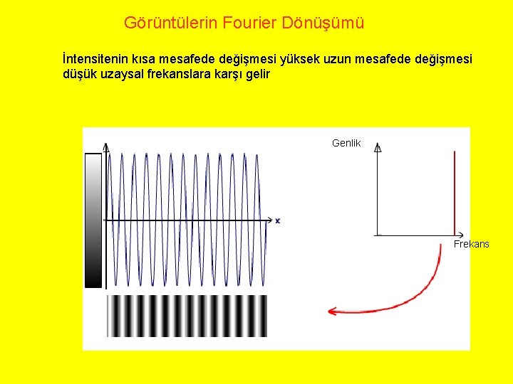Görüntülerin Fourier Dönüşümü İntensitenin kısa mesafede değişmesi yüksek uzun mesafede değişmesi düşük uzaysal frekanslara