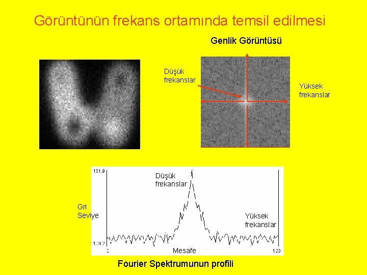 Görüntünün frekans ortamında temsil edilmesi Genlik Görüntüsü Düşük frekanslar Yüksek frekanslar Düşük frekanslar Gri