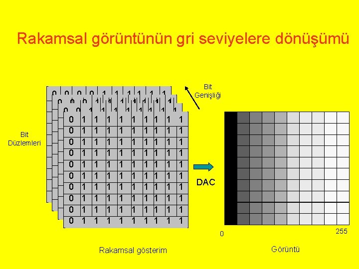 Rakamsal görüntünün gri seviyelere dönüşümü Bit Düzlemleri 0 0 1 1 1 0 0
