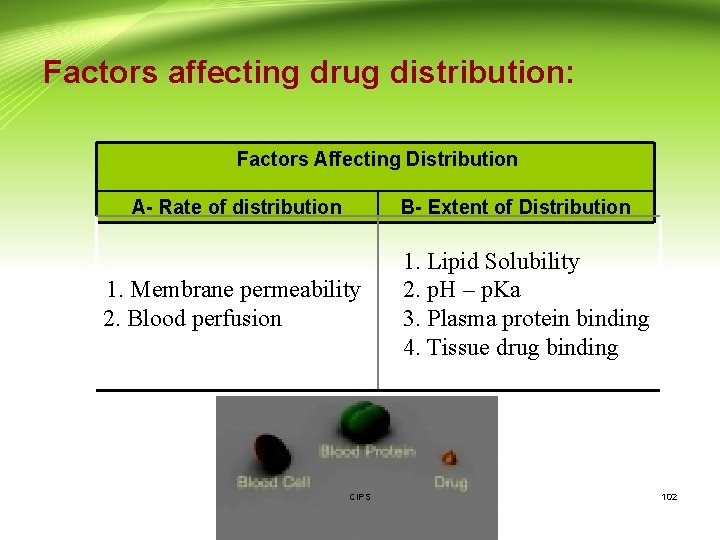 Factors affecting drug distribution: Factors Affecting Distribution A- Rate of distribution 1. Membrane permeability
