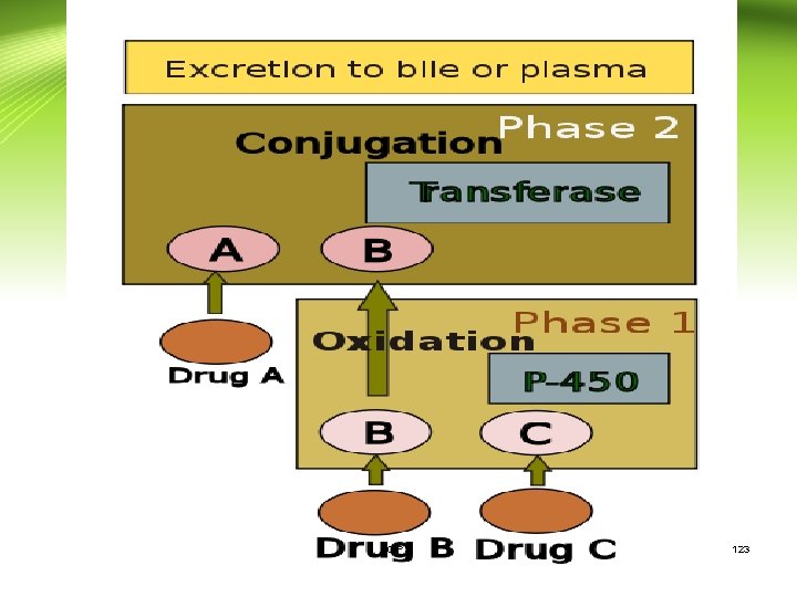 CIPS 123 