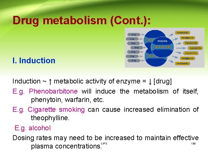 Drug metabolism (Cont. ): I. Induction ~ ↑ metabolic activity of enzyme = ↓