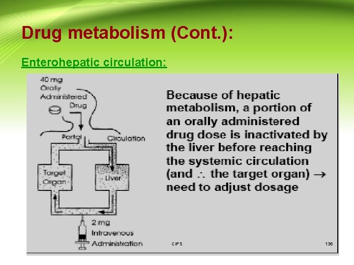 Drug metabolism (Cont. ): Enterohepatic circulation: CIPS 135 