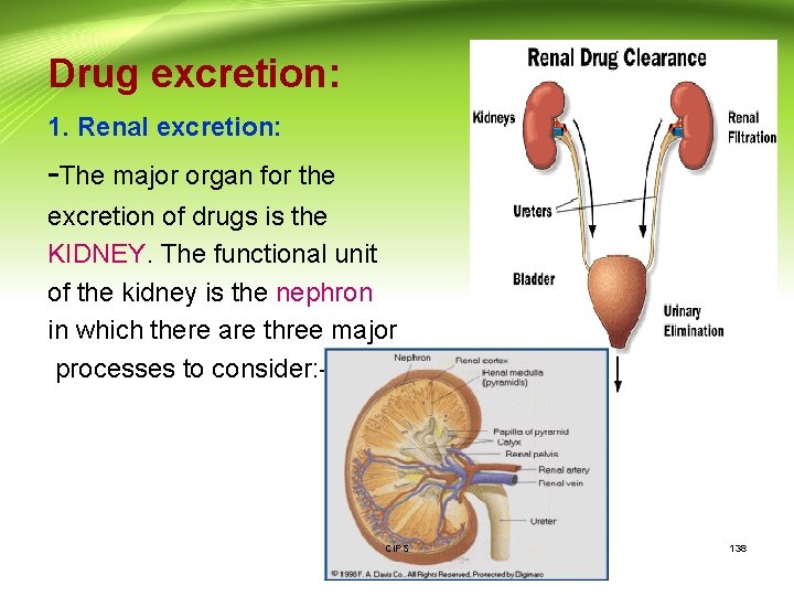 Drug excretion: 1. Renal excretion: -The major organ for the excretion of drugs is