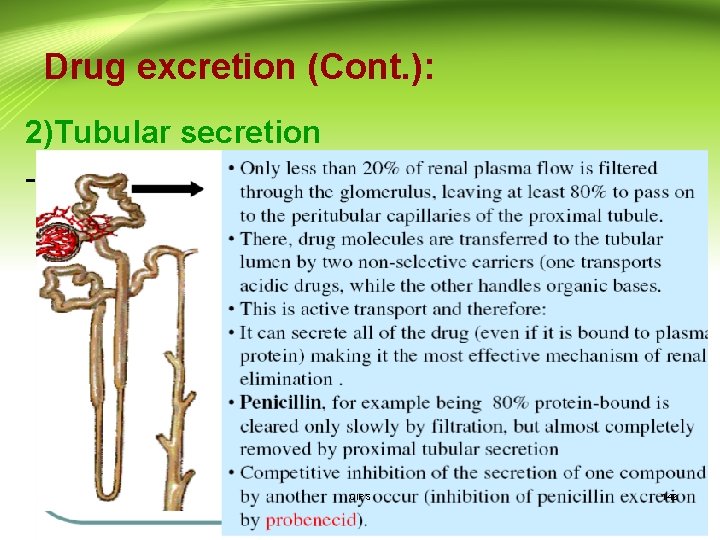 Drug excretion (Cont. ): 2)Tubular secretion - CIPS 142 