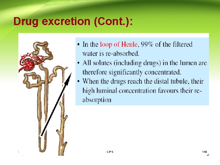 Drug excretion (Cont. ): CIPS 143 