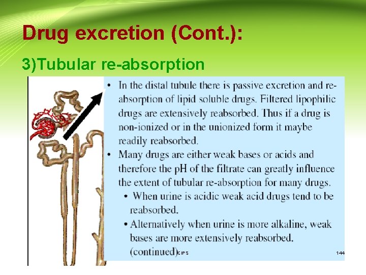 Drug excretion (Cont. ): 3)Tubular re-absorption CIPS 144 