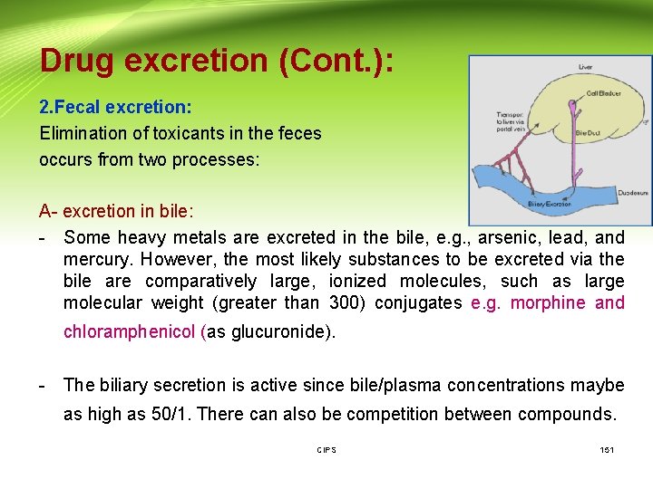 Drug excretion (Cont. ): 2. Fecal excretion: Elimination of toxicants in the feces occurs