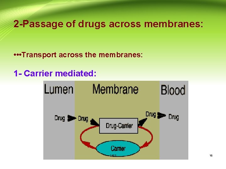 2 -Passage of drugs across membranes: • • • Transport across the membranes: 1