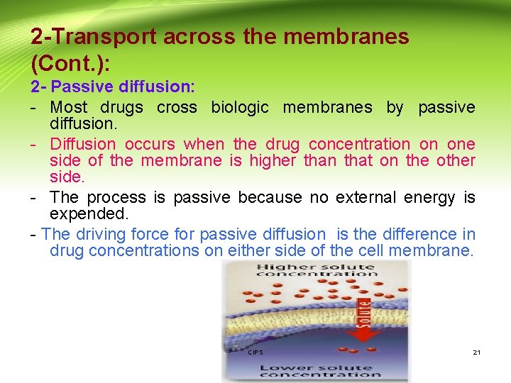 2 -Transport across the membranes (Cont. ): 2 - Passive diffusion: - Most drugs