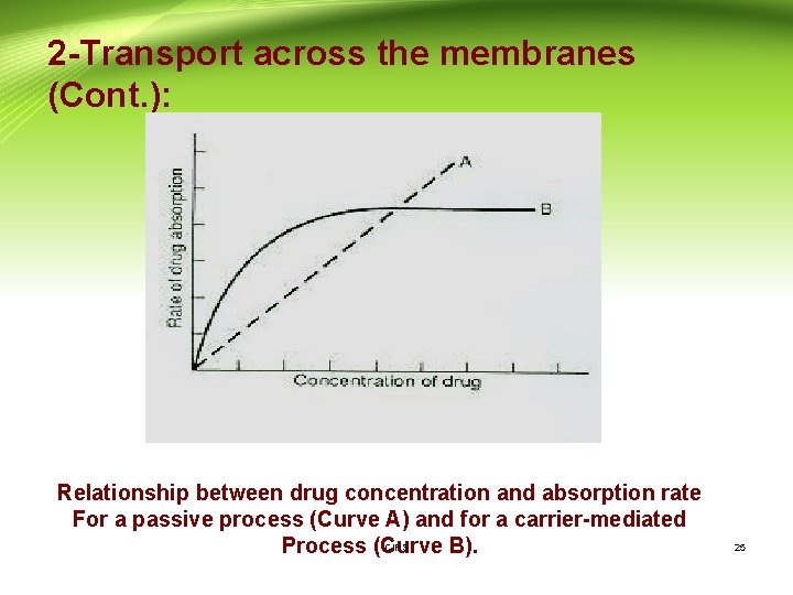 2 -Transport across the membranes (Cont. ): Relationship between drug concentration and absorption rate