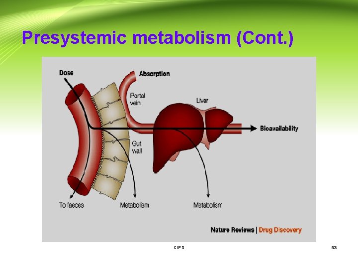 Presystemic metabolism (Cont. ) CIPS 53 