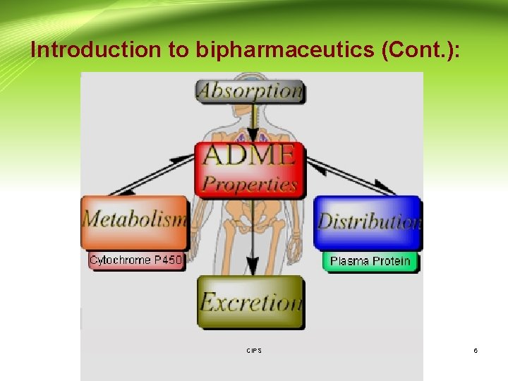 Introduction to bipharmaceutics (Cont. ): CIPS 6 