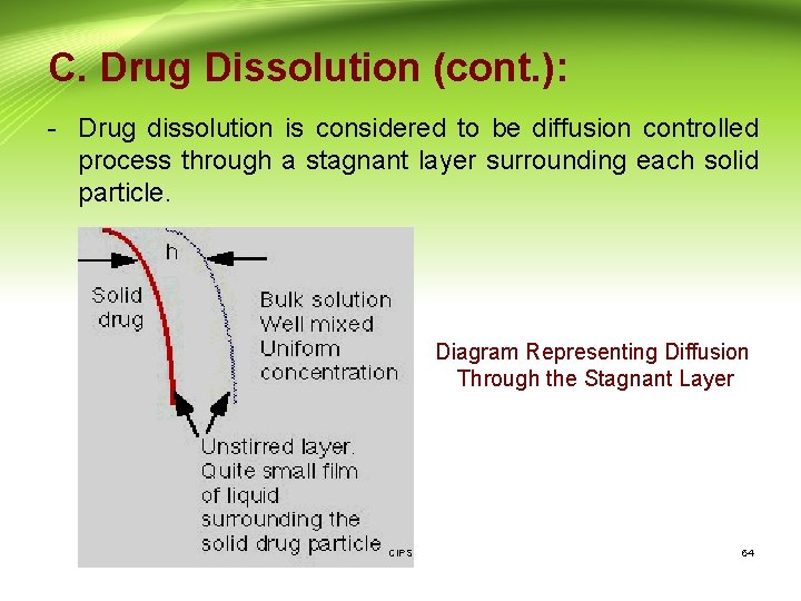 C. Drug Dissolution (cont. ): - Drug dissolution is considered to be diffusion controlled