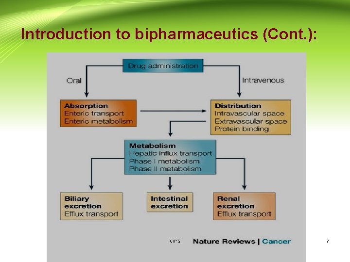 Introduction to bipharmaceutics (Cont. ): CIPS 7 