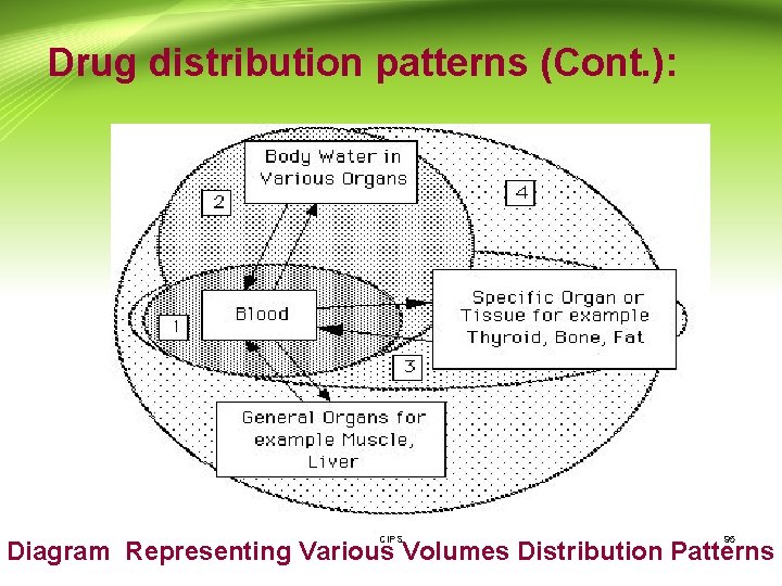 Drug distribution patterns (Cont. ): CIPS 95 Diagram Representing Various Volumes Distribution Patterns 