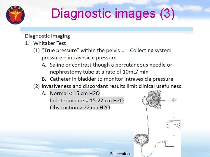 Diagnostic images (3) From website 