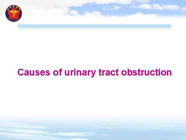 Causes of urinary tract obstruction 