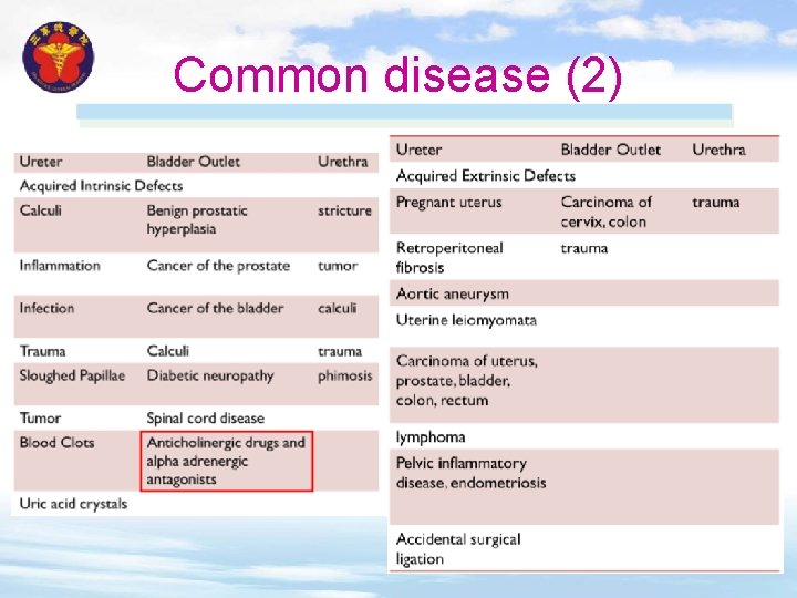 Common disease (2) 