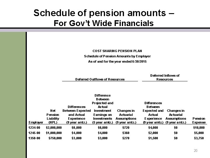 Schedule of pension amounts – For Gov’t Wide Financials COST SHARING PENSION PLAN Schedule