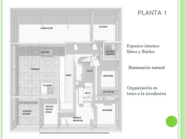 PLANTA 1 Espacios internos libres y fluidos Iluminación natural Organización en torno a la