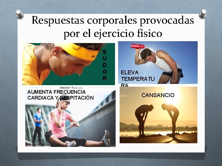 Respuestas corporales provocadas por el ejercicio físico O AUMENTA FRECUENCIA CARDIACA Y RESPITACIÓN S