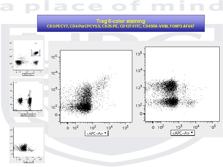 Treg 6 -color staining CD 3 -PECY 7, CD 4 -Per. CPCY 5. 5,