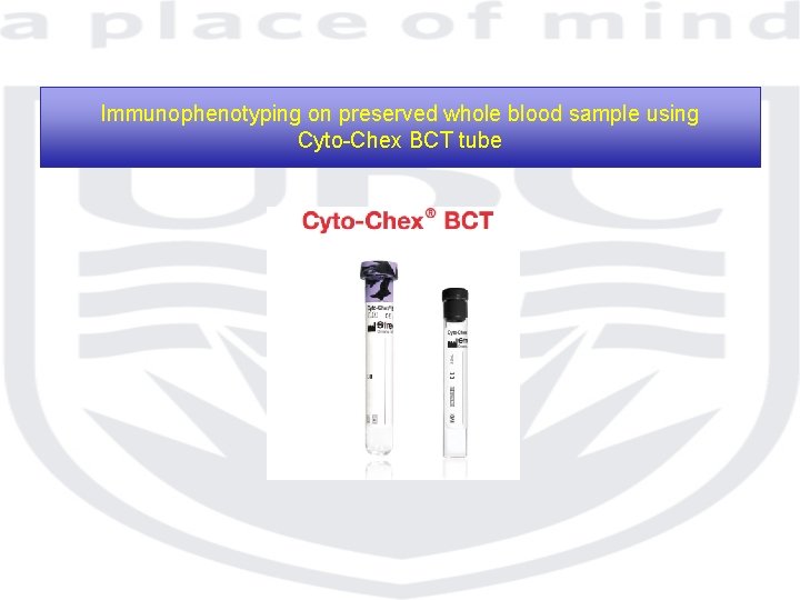 Immunophenotyping on preserved whole blood sample using Cyto-Chex BCT tube 