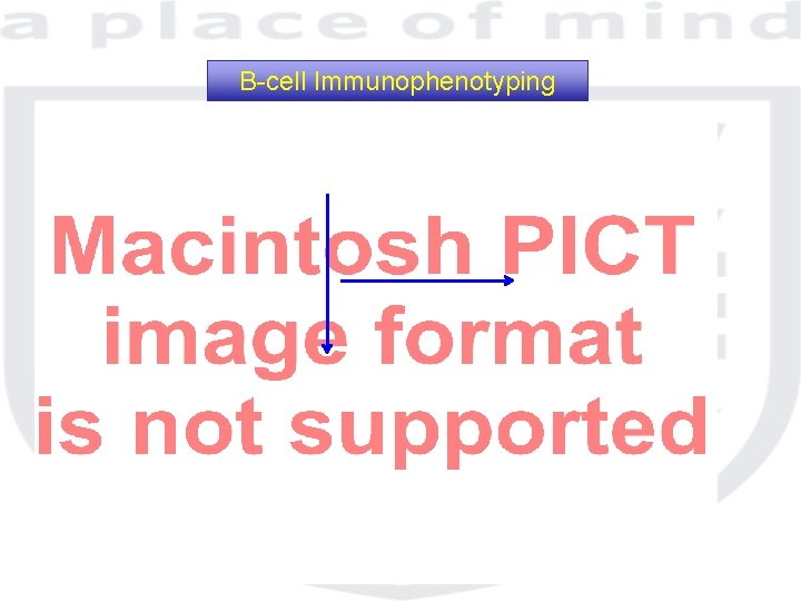 B-cell Immunophenotyping 