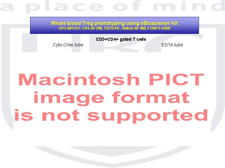 Whole blood Treg phenotyping using e. Bioscience Kit CD 3 -APCH 7, CD 4