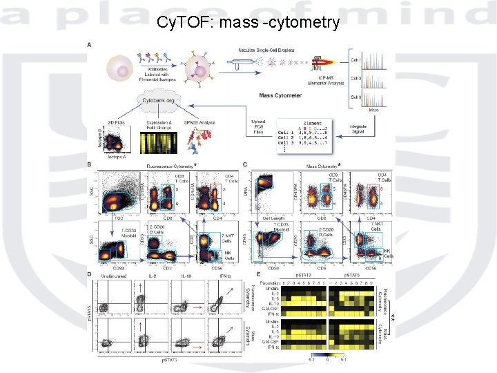 Cy. TOF: mass -cytometry 