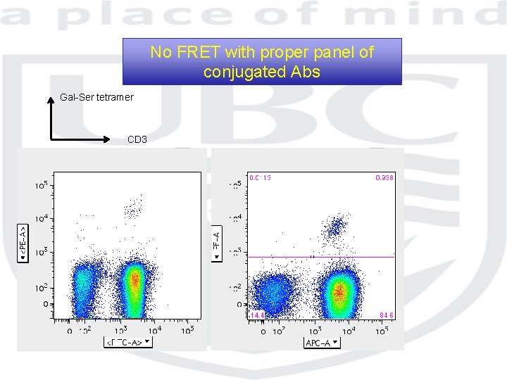 No FRET with proper panel of conjugated Abs Gal-Ser tetramer CD 3 