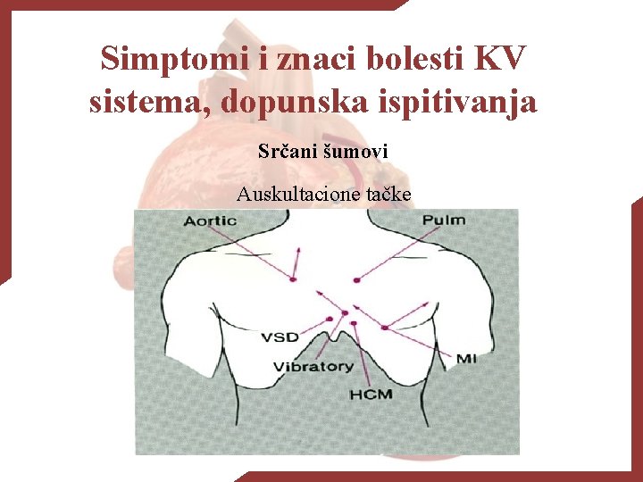 Simptomi i znaci bolesti KV sistema, dopunska ispitivanja Srčani šumovi Auskultacione tačke 