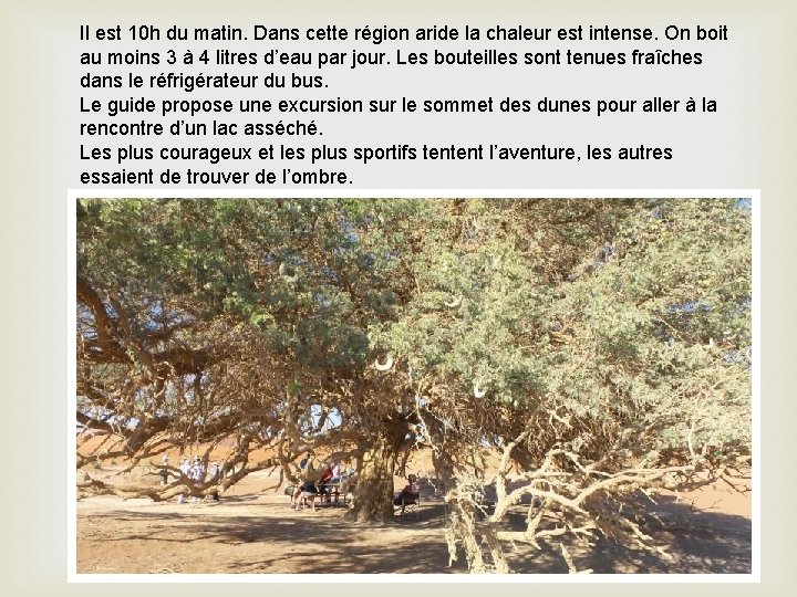 Il est 10 h du matin. Dans cette région aride la chaleur est intense.