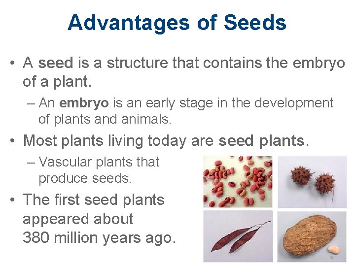 Advantages of Seeds • A seed is a structure that contains the embryo of