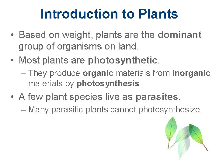 Introduction to Plants • Based on weight, plants are the dominant group of organisms