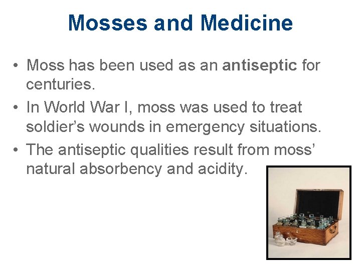 Mosses and Medicine • Moss has been used as an antiseptic for centuries. •